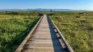 将来の話をしない彼氏