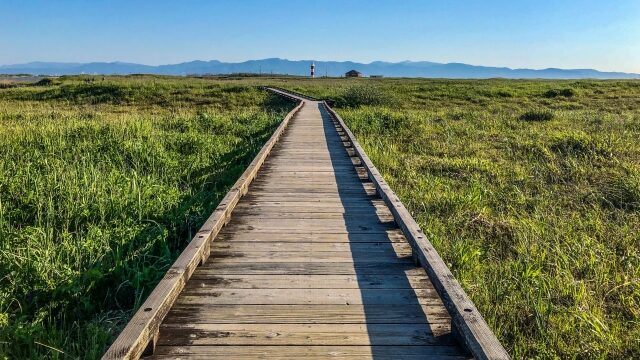 将来の話をしない彼氏